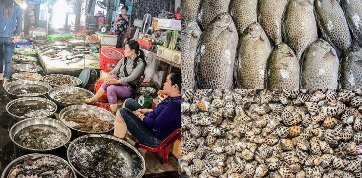 cho-hai-san-cho-hai-san-seafood-market-a-unique-experience-at-sunrise-explore-top-4-most-famous-markets-in-danang-city-2