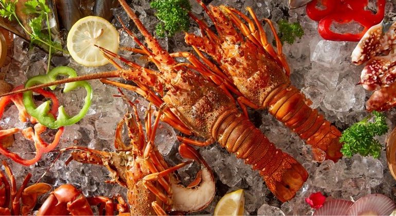 international-buffet-tempting-lobster-theme