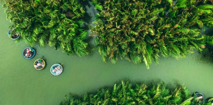 bay-mau-coconut-forest-1-2