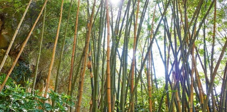 bao-tang-tre-truc-da-nang-museum-2