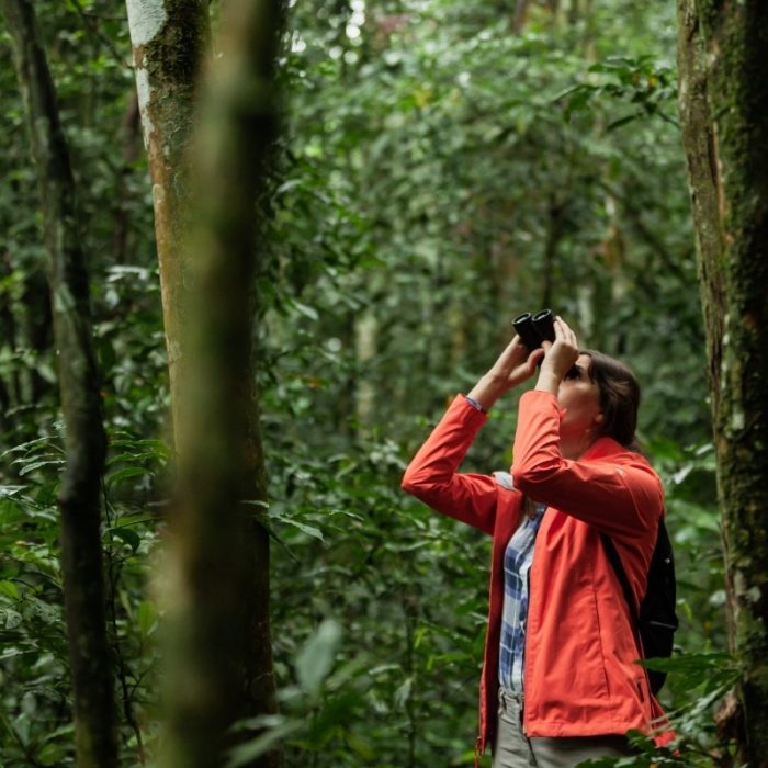 top-10-friendly-ecotourism-destinations-in-da-nang