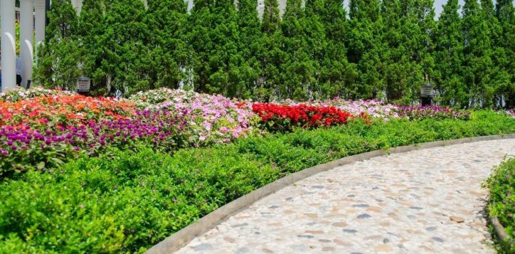 vuon-hoa-ba-na-hill-flower-garden-2